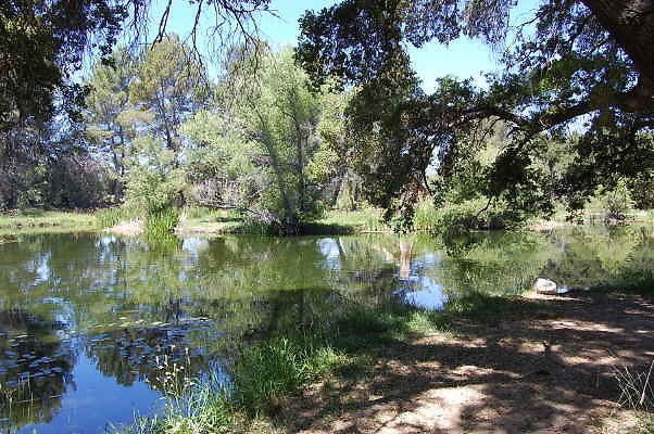 DSC 0067