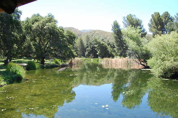 Golden Oaks.Pond