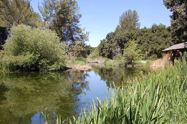 DSC 0072