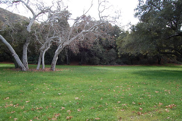 DSC 0148