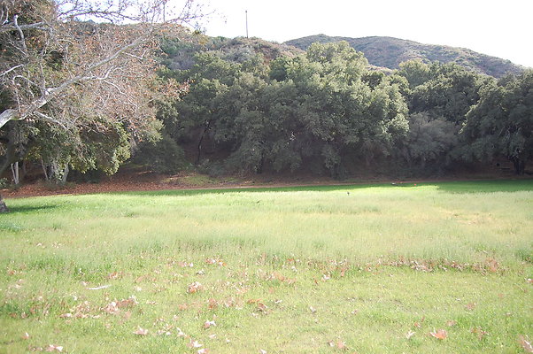 DSC 0142