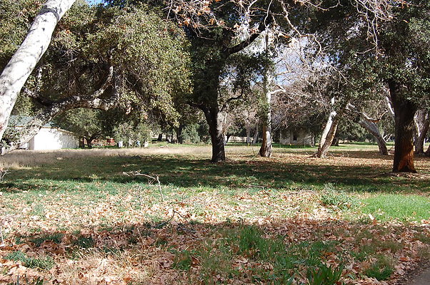 DSC 0092a