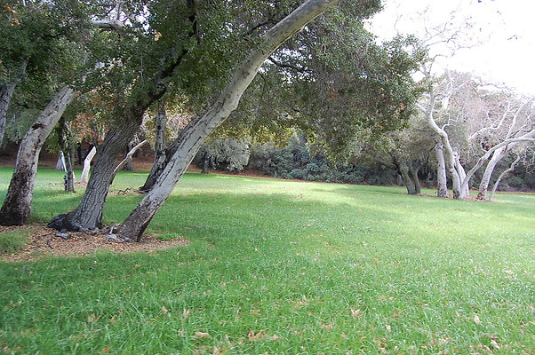 DSC 0146