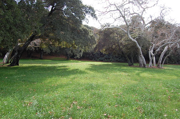 DSC 0147