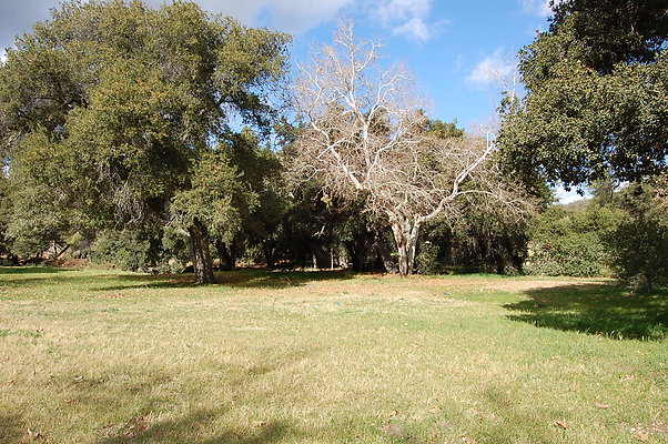 DSC 0109