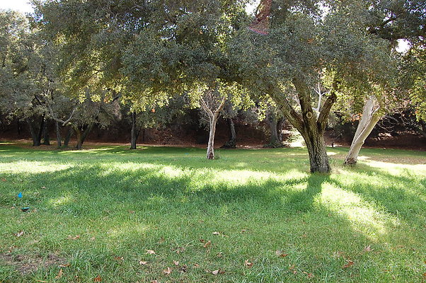 DSC 0154