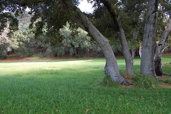 DSC 0145