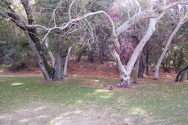 DSC 0128