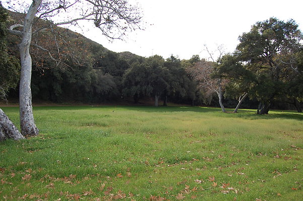 DSC 0141