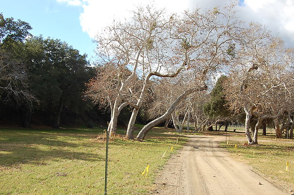 DSC 0156