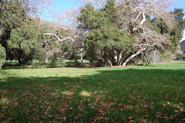 DSC 0114
