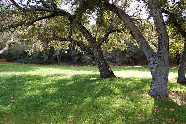 DSC 0149