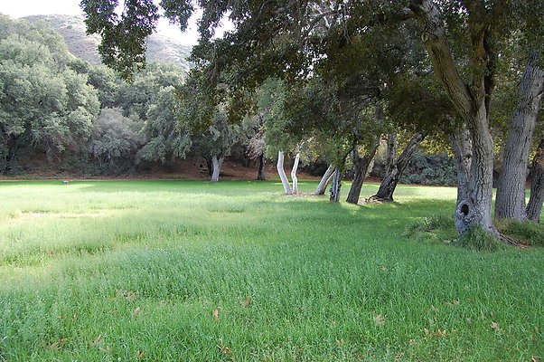 DSC 0144
