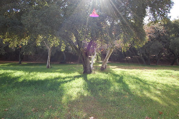 DSC 0153