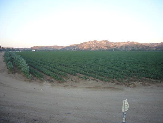 L1010133