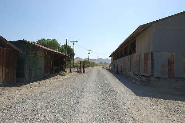 DSC 0084