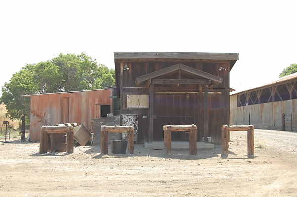 DSC 0064