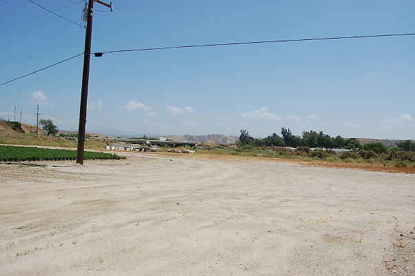 DSC 0175c