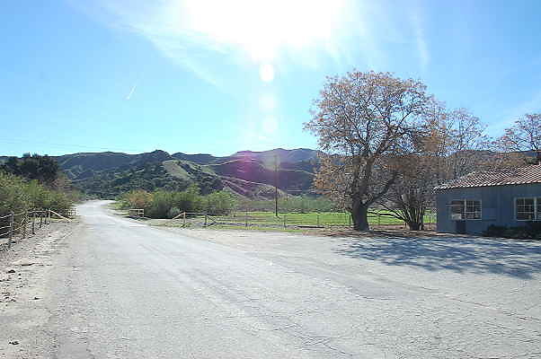 DSC 0218
