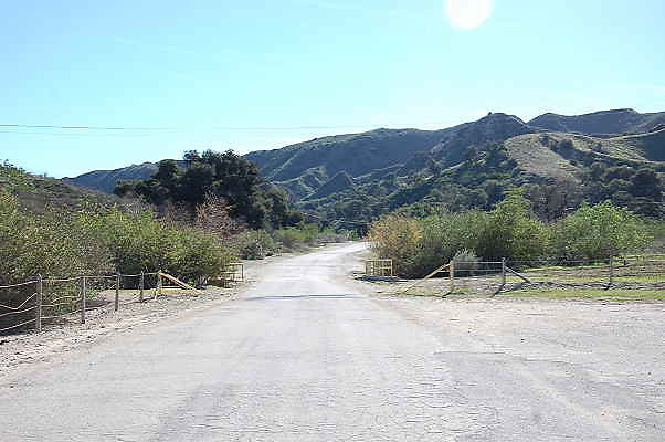 DSC 0226