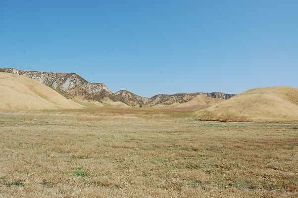Newhall Land.Tent Field