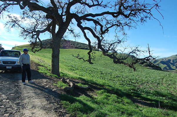 Newhall Ranch.Near Cattle Gate Newhall Ranch.Near Cattle Gate