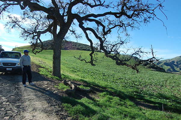 Newhall Ranch.Near Cattle Gate