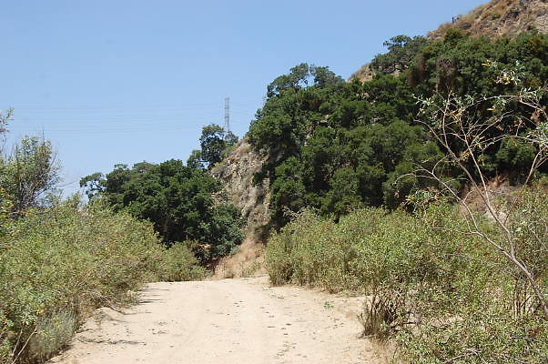 DSC 0143