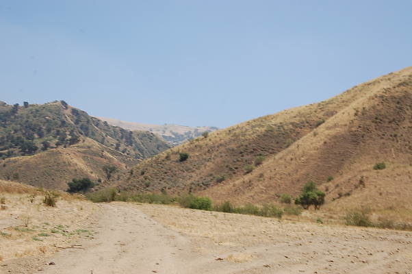 DSC 0135