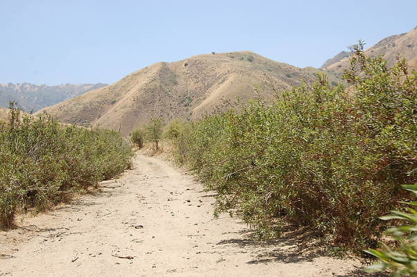 Newhall Land Salt Creek Road.june 2010