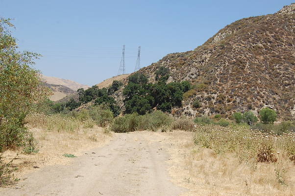DSC 0139