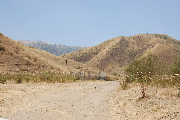 DSC 0129