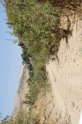 DSC 0141