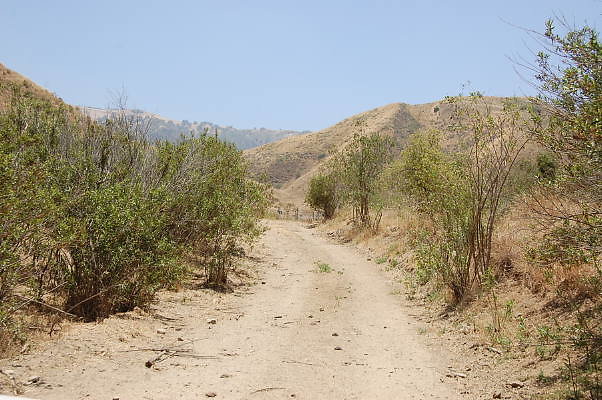 DSC 0127