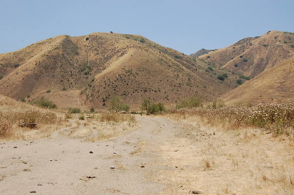 DSC 0131
