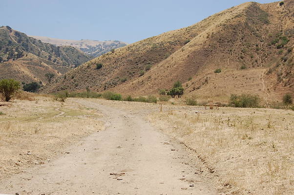 DSC 0134