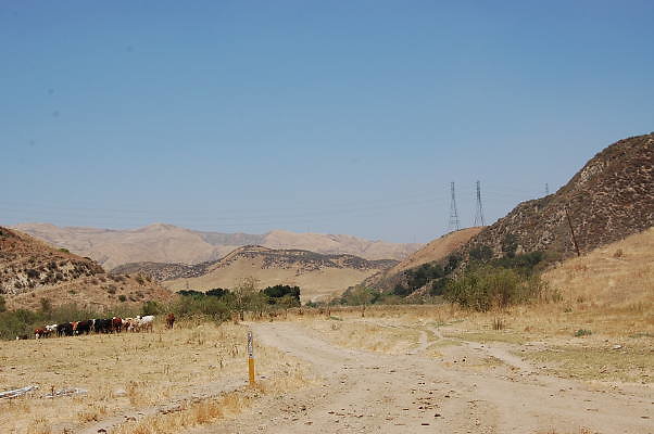 DSC 0136