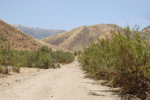 DSC 0123