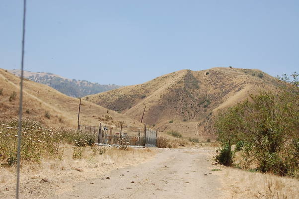 DSC 0130