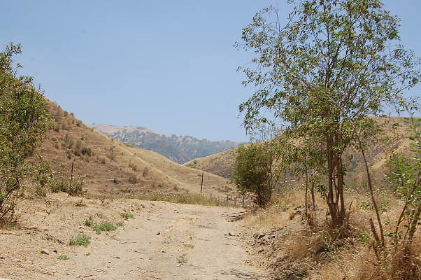 DSC 0128