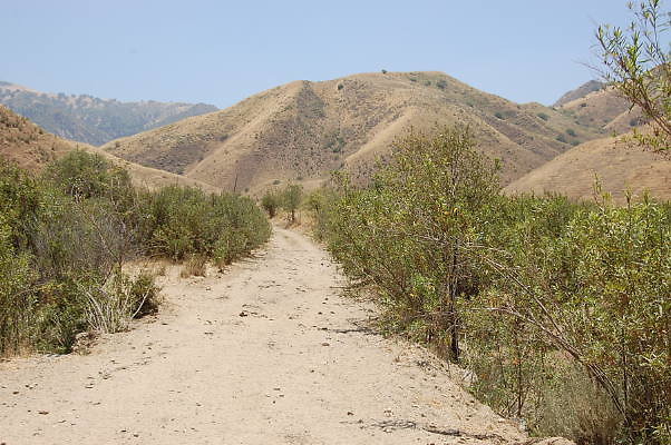 DSC 0124