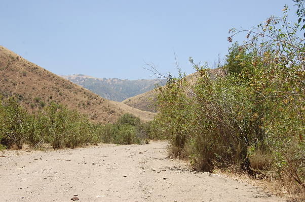 DSC 0122
