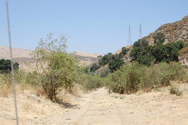 DSC 0140
