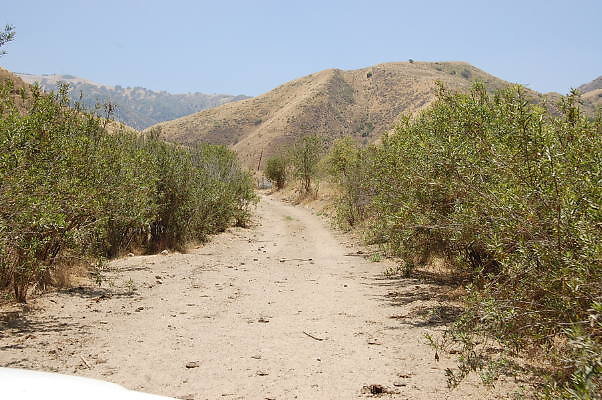 DSC 0126