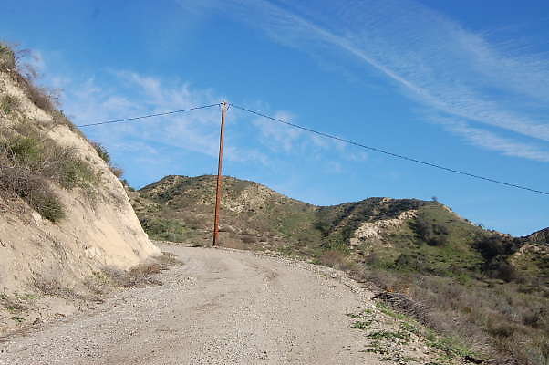 DSC 0703