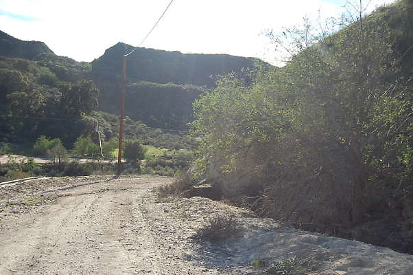 DSC 0706