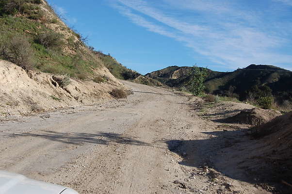 DSC 0700