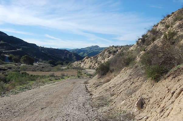 DSC 0709