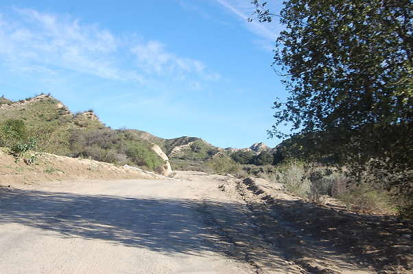 DSC 0691