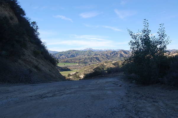 DSC 0634